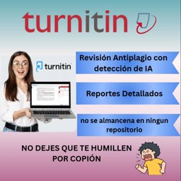 Imagen de TURNITIN 1 REPORT