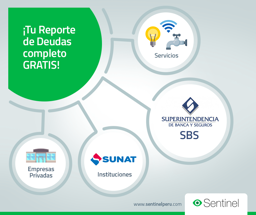 Imagen de SENTINEL CONSULTA